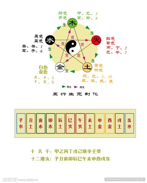 五行 身體部位|天干地支五行身体部位及器官之对应